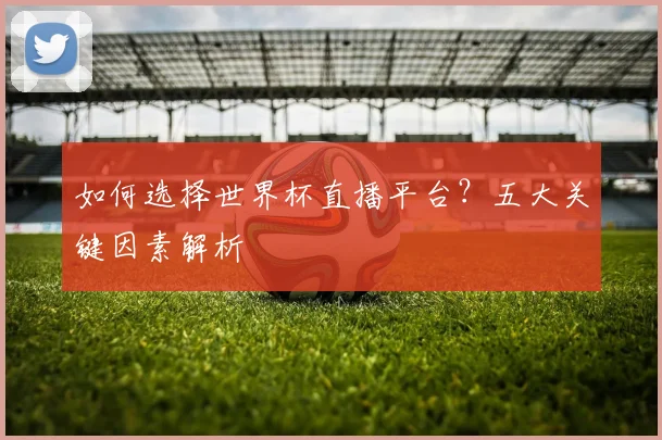 如何选择世界杯直播平台？五大关键因素解析