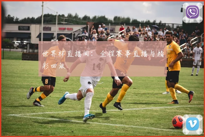世界杯直播间：全程赛事直播与精彩回放