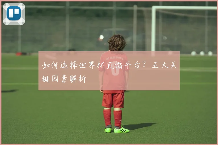 如何选择世界杯直播平台？五大关键因素解析